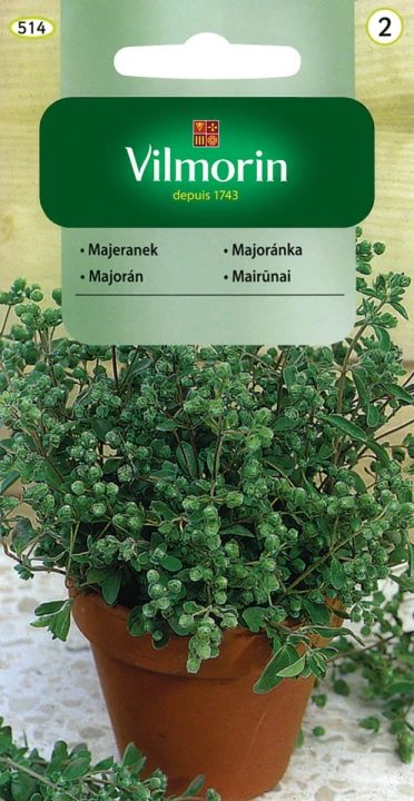 majeranek.jpg