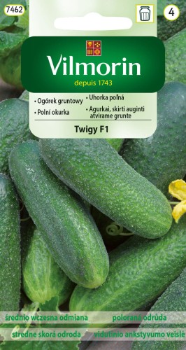ogórek Twigy.jpg