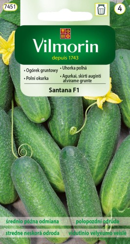 ogórek Santana.jpg