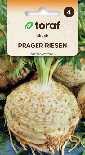 Seler Prager Riesen.png