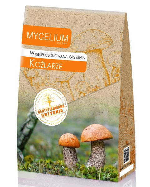 120ml grzybnia Kozlarze.jpg