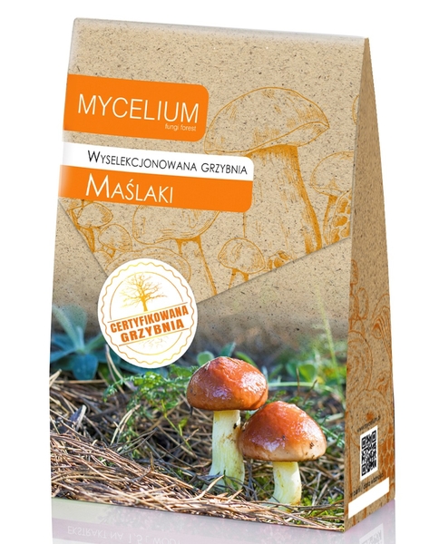 120ml grzybnia Maslaki.jpg