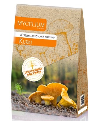 120ml grzybnia Kurki.jpg