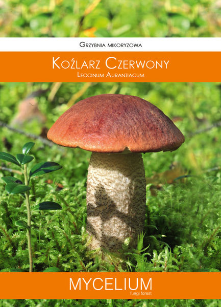 60ml kozlarz czerwony.jpg