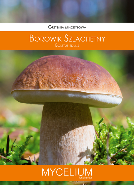 60ml borowik szlachetny.jpg