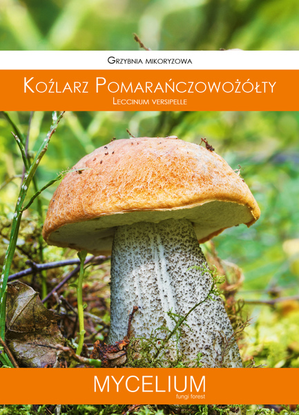 60ml kozlarz pomaranczowozolty.jpg