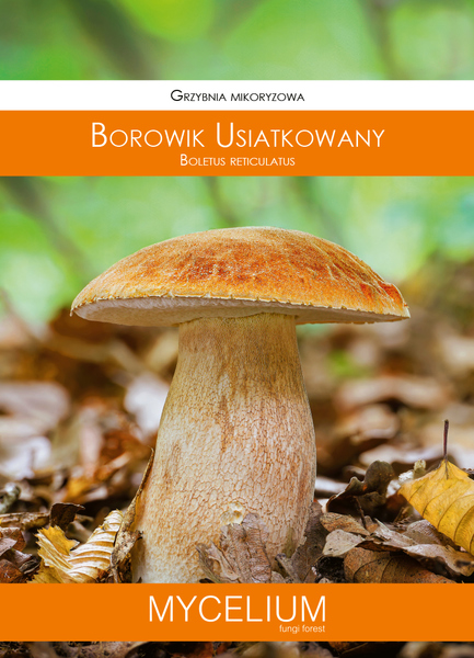 60ml borowik usiatkowany.jpg