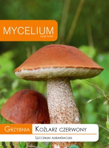 Grzybnia KOŹLARZ CZERWONY 10g Mycelium