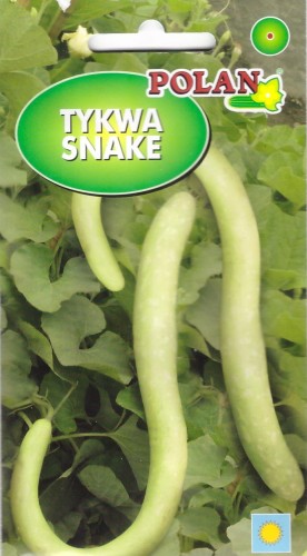 tykwa snake pol.jpg