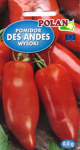pomidor des andes pol.PNG