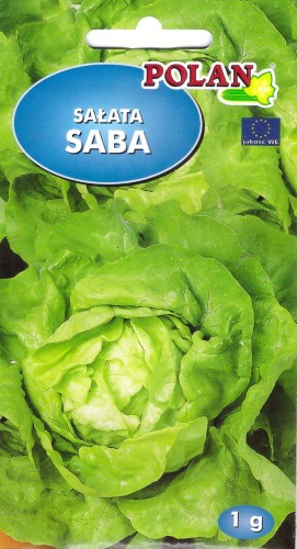 salata saba pol.jpg