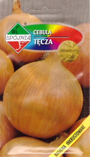 cebula tecza spo.jpg
