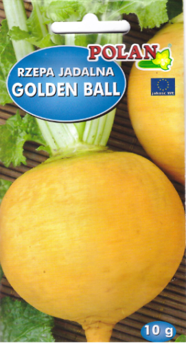 rzepa jadalna golden ball pol.PNG