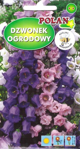 dzwonek ogrodowy pol.jpg