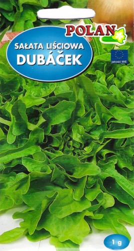 salata dubacek pol.jpg