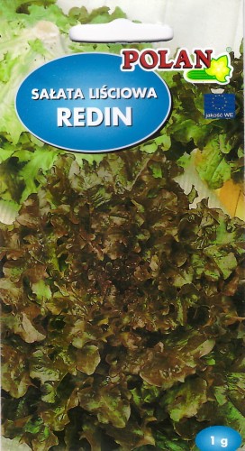 salata redin pol.jpg