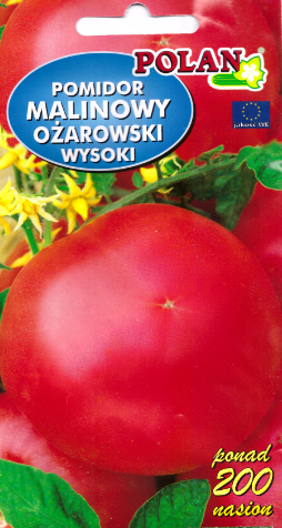 pomidor malinowy ożarowski wysoki pol.PNG